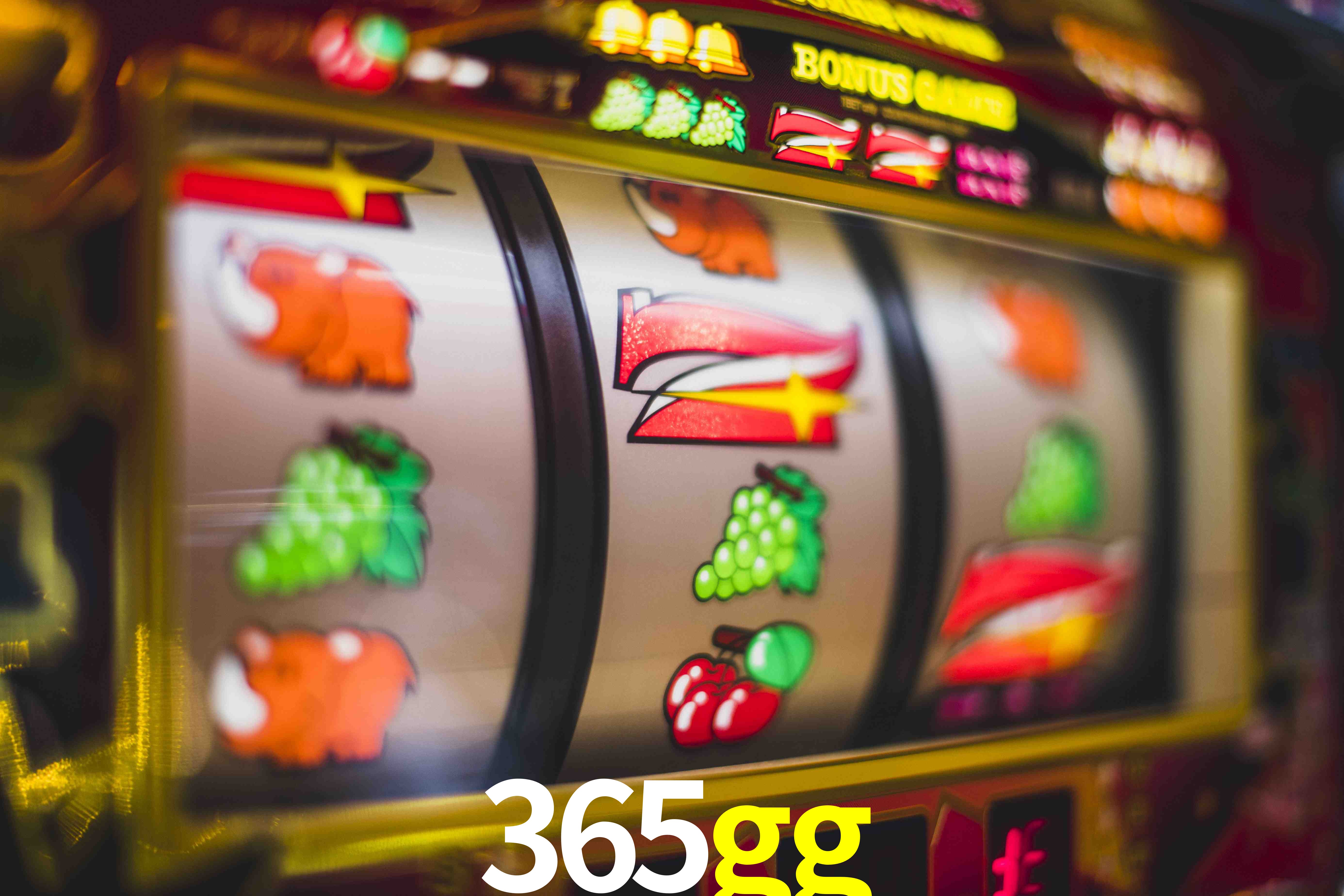 Basketball Betting 365gg